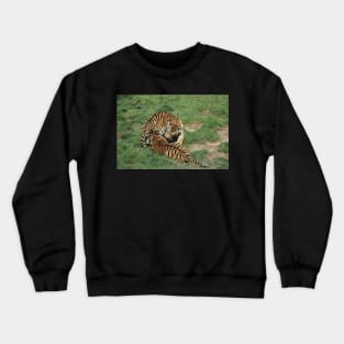 Tiger Cubs Crewneck Sweatshirt